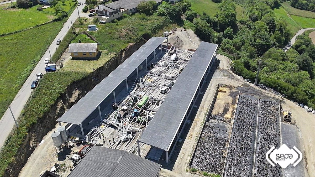 El Gobierno asturiano declara luto oficial por el accidente laboral en la explotación ganadera de Coaña