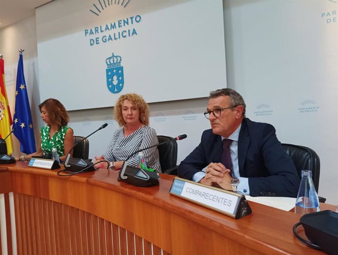 Archivo - Arquivo - O conselleiro maior de Contas, Juan Carlos Aladro Fernández