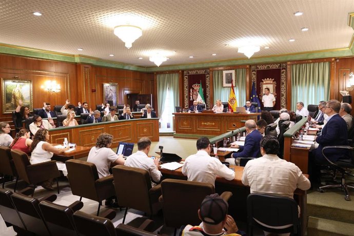 Sesión plenaria en el Ayuntamiento de Marbella.