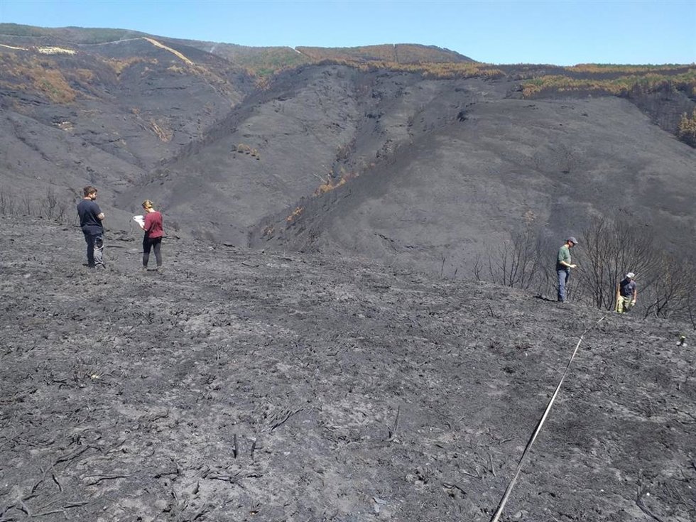 Archivo - Técnicos del Centro de Investigación Forestal de Lourizán (Pontevedra) evalúan los daños en la Serra do Courel (Lugo) provocados por los incendios.