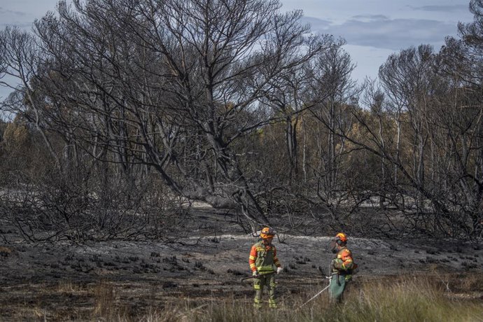 Archivo - Arxiu - Bombers en zona incendiada del Saler en imatge d'arxiu