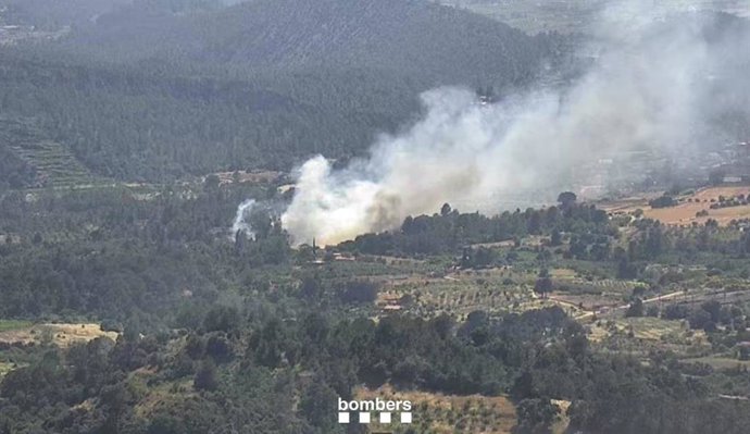 Incendio de vegetación en Marçà (Tarragona)