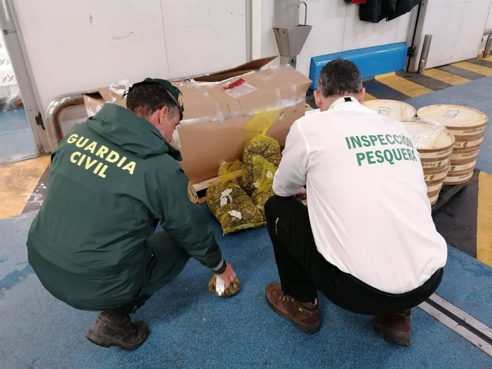 Imagen de la inspección