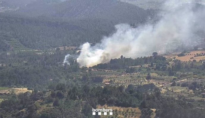 Incendi de vegetació a Marçà (Tarragona)