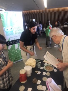 Es Andalucía - Granada