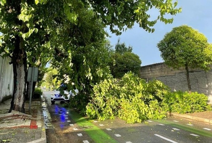 El 1-1-2 gestiona 40 incidentes por la tormenta en Valladolid