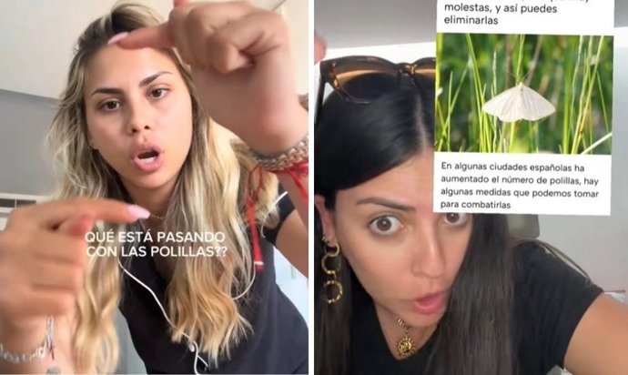 Qué significa que entren polillas en tu casa