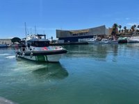 La Junta intensifica los controles sobre la captura y comercialización del pulpo en Almería