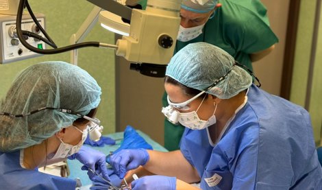 Es Andalucía - Granada