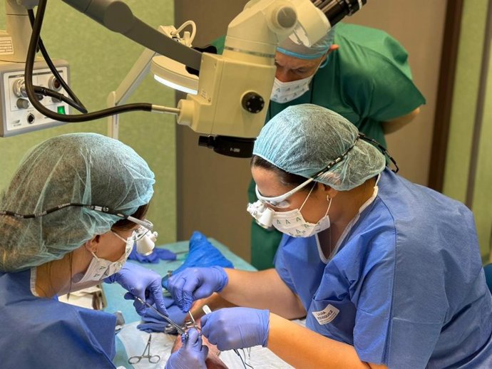 Imagen de una intervención de cirugía de brazo.