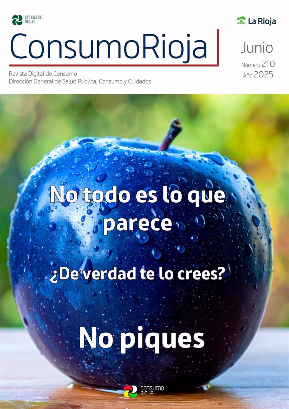 La revista digital  ConsumoRioja  de junio ofrece información sobre estafas en alquileres vacacionales