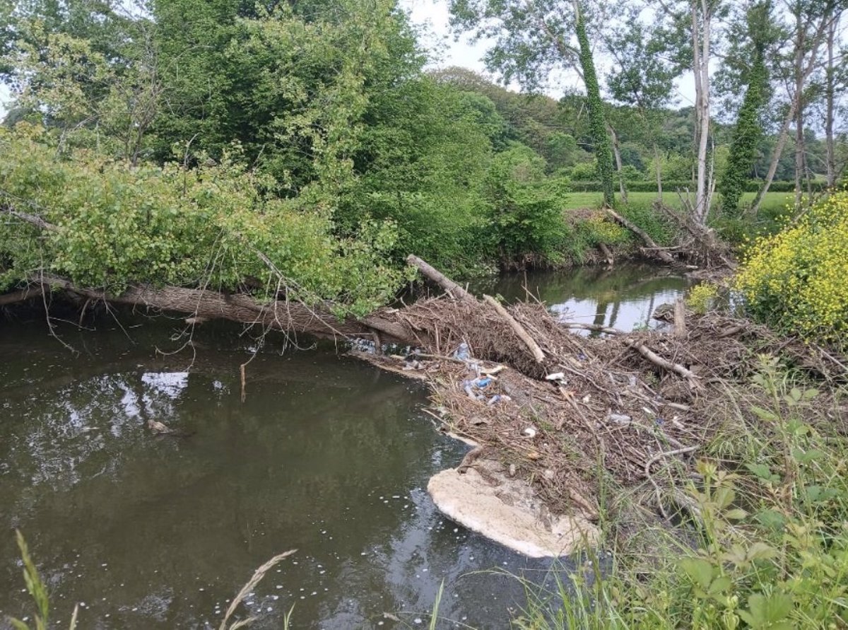 La Confederación Hidrográfica del Cantábrico inicia trabajos de mejora en el río Nora en Siero