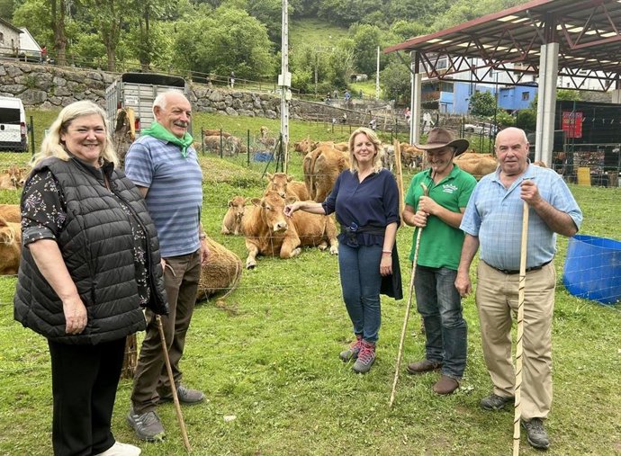 Miera celebra la XXI Feria de San Fernando con la participación de más de 250 reses de nueve ganaderías