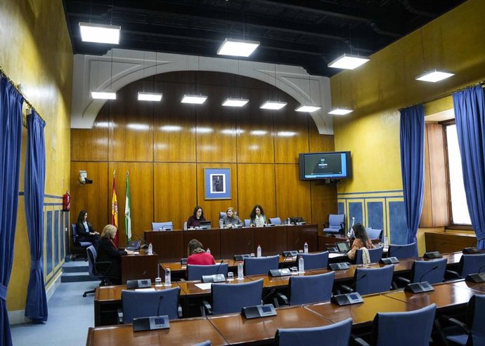 Archivo - Sesión del grupo de trabajo del Parlamento andaluz para garantizar la protección de menores ante el acceso a la pornografía en internet. (Foto de archivo).
