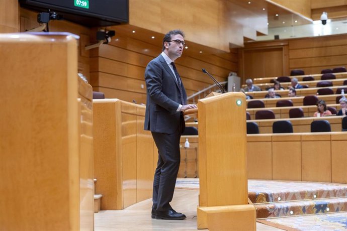El ministro de Economía, Comercio y Empresa, Carlos Cuerpo, durante una sesión de control al Gobierno en el Senado, a 27 de mayo de 2025, en Madrid (España).