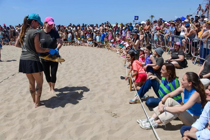 La consellera de Territorio, Vivienda y Transición Ecológica de la Generalitat, Sílvia Paneque, en la liberación de 5 ejemplares de tortugas babaua en la playa del Prat de Llobregat (Barcelona), organizada por la Fundació CRAM