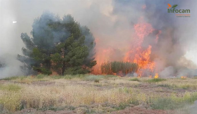 Controlado un incendio declarado en La Puebla de Almuradiel este domingo