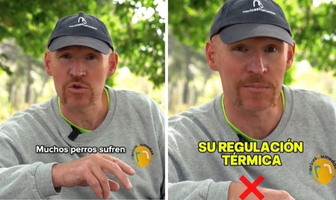 Capura de pantalla del usuario de Tiktok  @adiestramiento_n.Humedas.