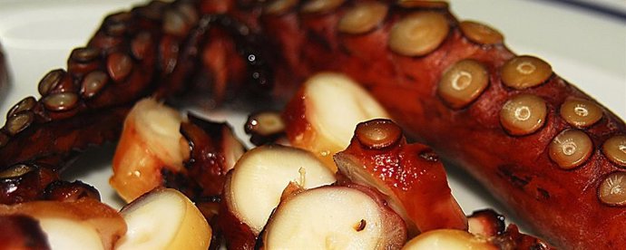 Archivo - Pulpo seco de Adra (Almería).