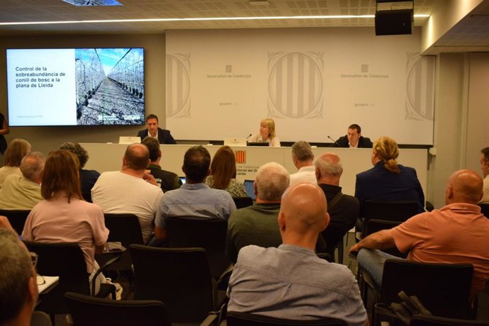 Presentación del nuevo Pla de control poblacional (PLP) para afrontar la sobrebundancia de conejos en la plana de Lleida