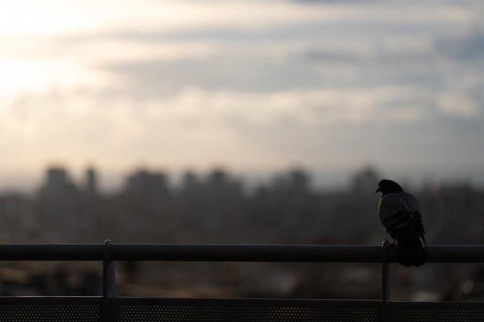 Archivo - Panorámica de Barcelona desde el Mirador de Torre Baró, en una imagen de archivo
