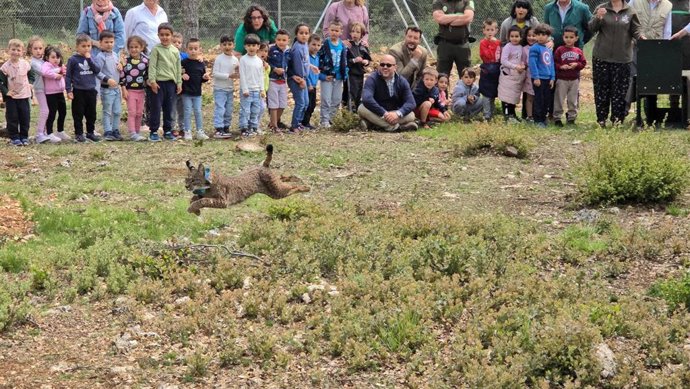 El Gobierno regional llevA a cabo la primera translocación entre comunidades autónomas de un ejemplar de lince ibéricode Astudillo en Palencia.