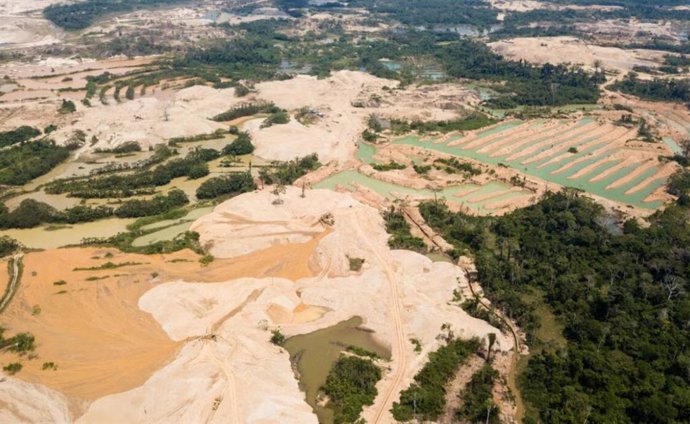 A mineração de ouro na floresta amazônica peruana deixa a terra quente, seca e nua.