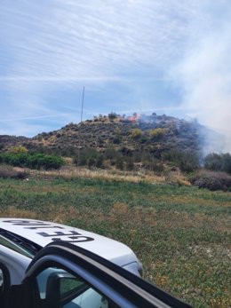 Incendio forestal en el entorno de Fonelas