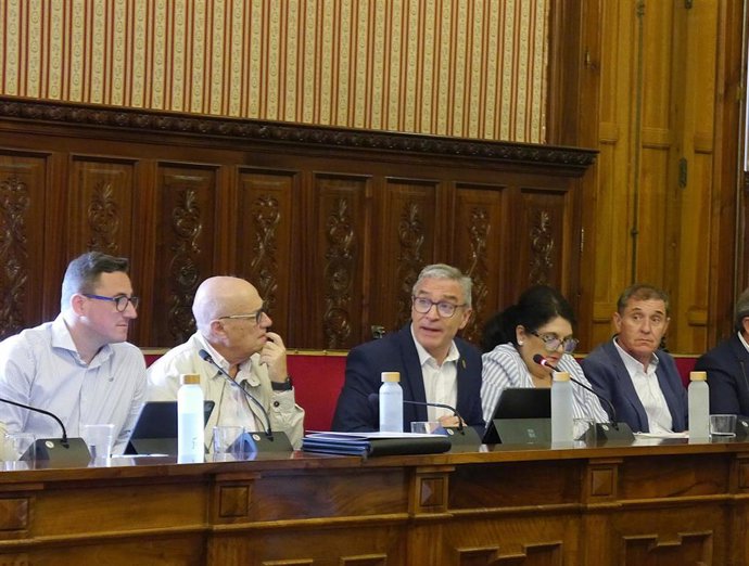 Intervención en el pleno  del portavoz popular,  Luis Mariano Camacho