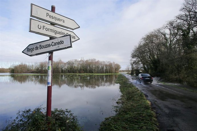 Archivo - Un coche pasa al lado de vegetación afectada por el desbordamiento del río Miño a su paso por Triabá, a 3 de enero de 2023, en Castro de Rei, Lugo, Galicia (España). 