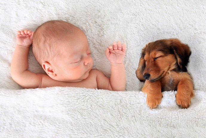 Archivo - Sleeping baby and puppy  Bebe y cachorro dormidos