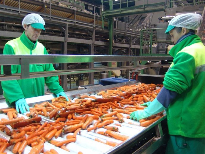 Archivo - Trabajadores trabajando