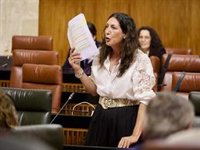 López critica los "recortes" del PSOE en atención a víctimas de violencia de género: "Se volcaron en aparentar"