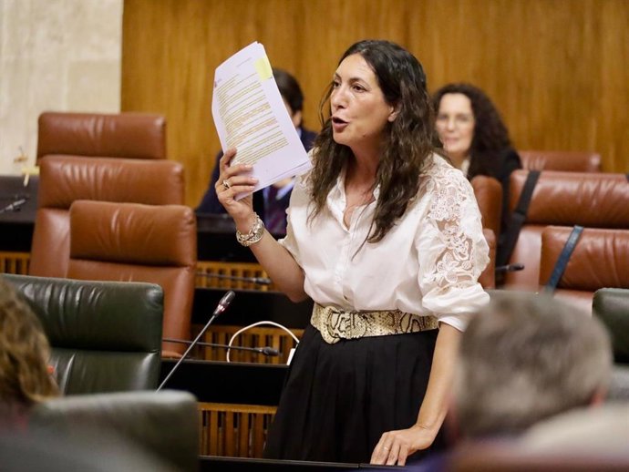 La consejera de Inclusión Social, Juventud, Familias e Igualdad, Loles López, en el Parlamento.
