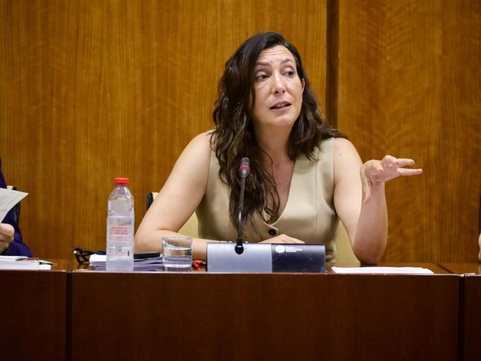 La consejera de Inclusión Social, Juventud, Familias e Igualdad, Loles López, en comisión parlamentaria.