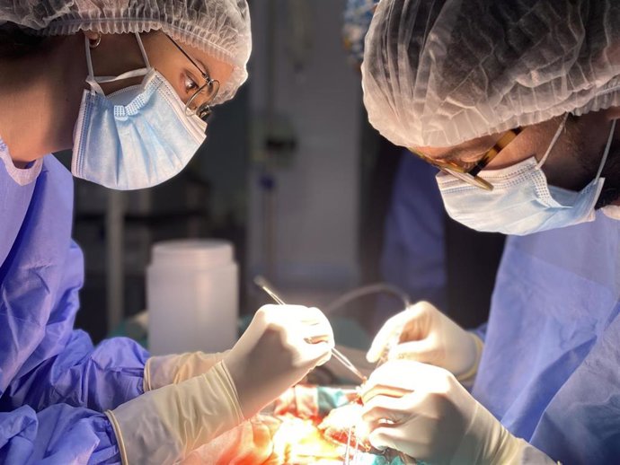 Archivo - Imagen de archivo de un trasplante renal realizado en Córdoba.