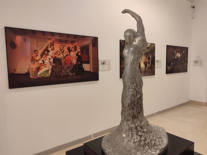 El Museo de Arte de la Diputación (MAD) de Antequera acoge desde este martes una exposición conjunta del escultor David Vaamonde y del fotógrafo Javier Caró enmarcada en la programación de la IX Bienal de Arte Flamenco