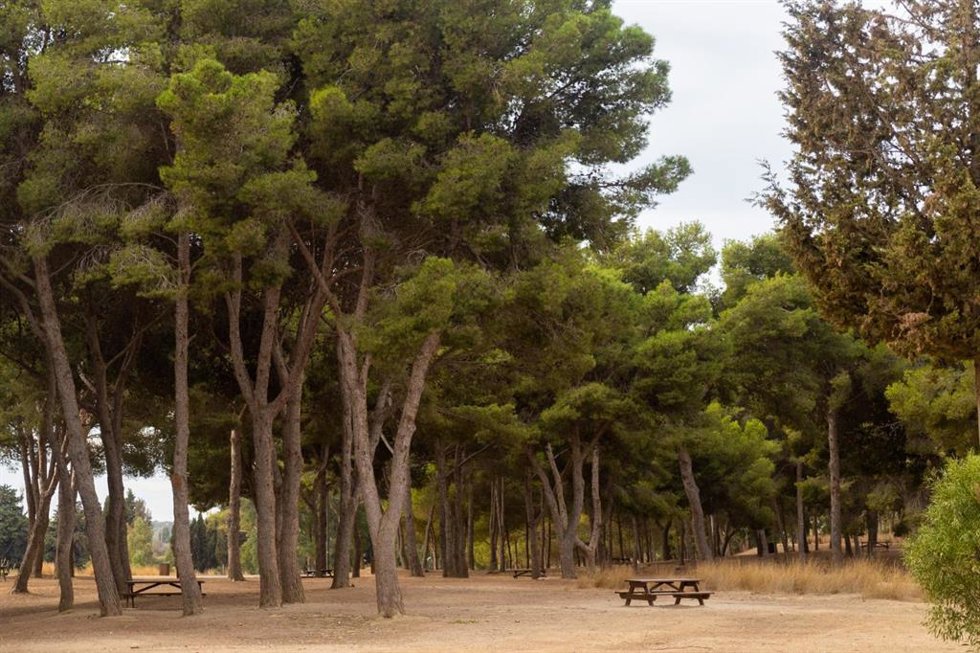 Zona forestal de Málaga en una imagen de archivo