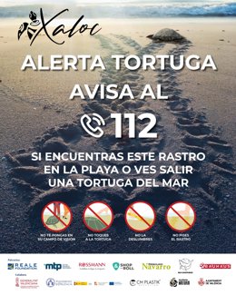 Las tortugas marinas un año más vuelven a las playas de la Comunitat Valenciana