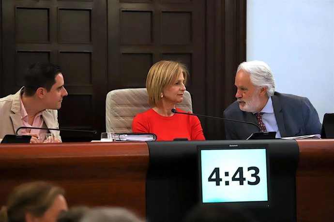 La alcaldesa de Jerez de la Frontera, María José García-Pelayo, en un momento del pleno del mes de mayo.