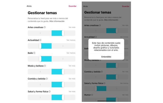 Gestionar Temas