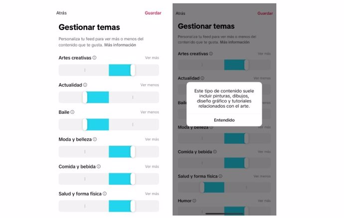 Gestionar Temas