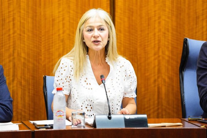 La consejera de Cultura y Deporte, Patricia del Pozo, en comisión parlamentaria, a fecha de 03 de junio de 2025.