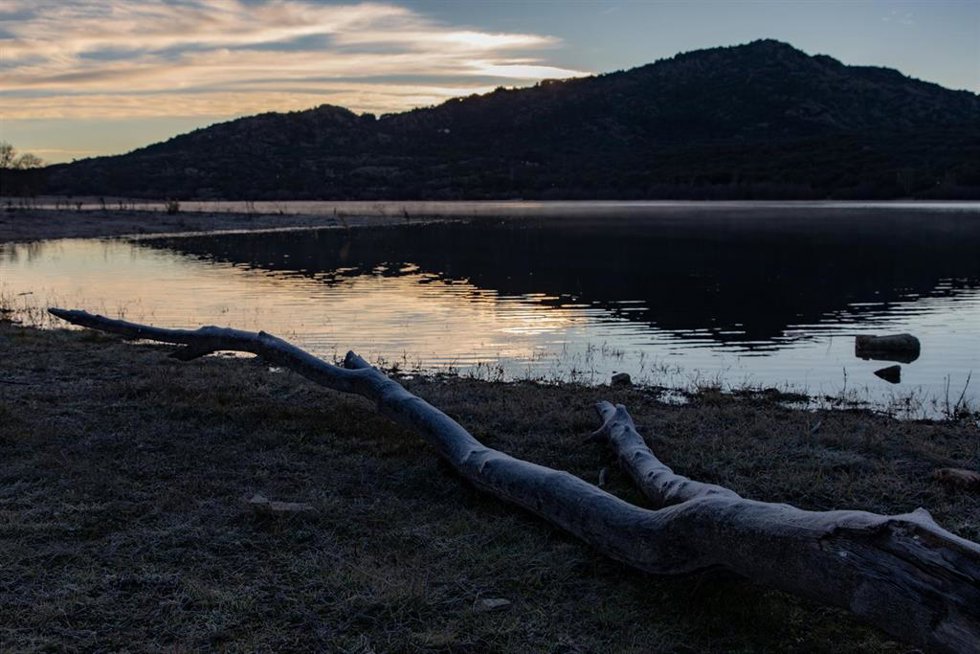 Archivo - Un tronco helado en el embalse de Santilla, a 21 de diciembre de 2023, en Manzanares el Real, Madrid (España).