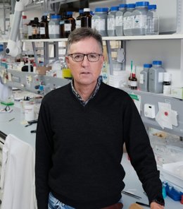 El premio Jaume I en la categoría de Investigación Básica, Jose Luis Mascareñas Cid