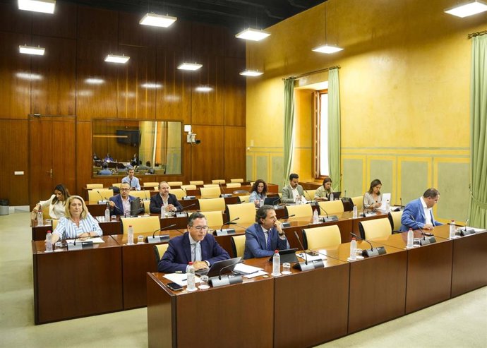 Diputados en la comisión de Justicia, Administración Local y Función Pública del Parlamento andaluz.