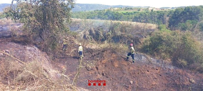 Bombers de la Generalitat apagan un incendio cerca de la BV-2428