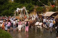 Un herido por una mula desbocada y retenciones por una carriola accidentada marcan la segunda jornada del Plan Romero
