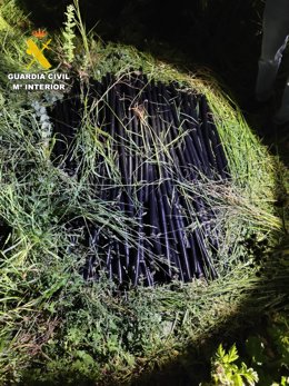 Vídeo de la noticia