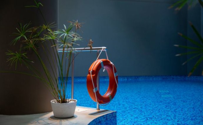 Banco de imágenes (Canva)